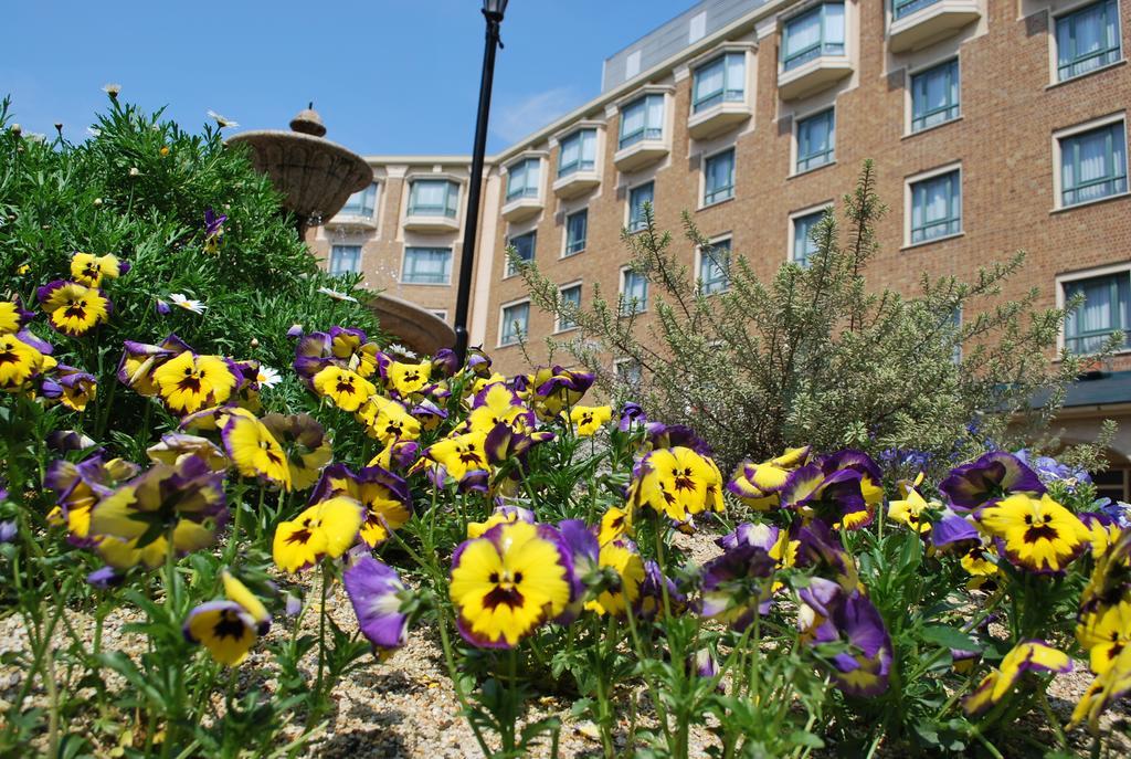 Royal Oak Hotel Spa & Gardens Оцу Екстериор снимка